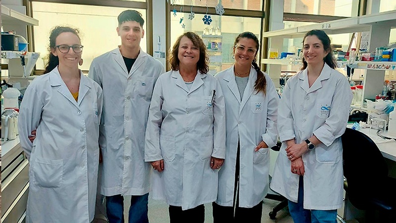 Científicos del CONICET trabajan en el diseño de un test rápido y de bajo costo para la detección del dengue