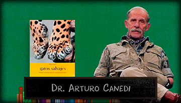 Arturo Canedi